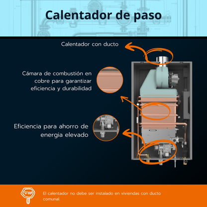 Calentador de paso Rheem 6 litros tiro forzado - Mécanico