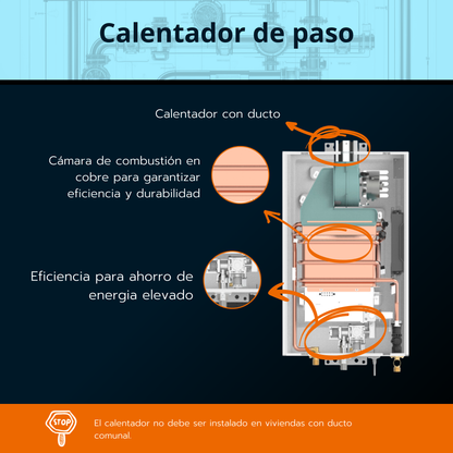 Calentador de paso Rheem 14 litros tiro forzado - Digital